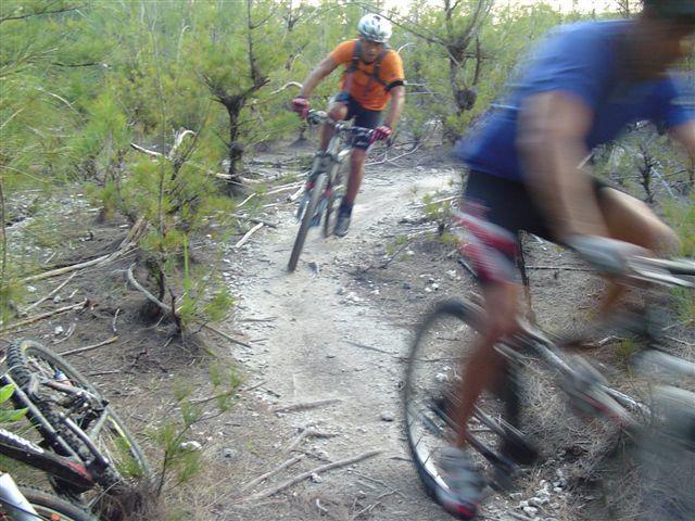 Two mountain bikers navigating a dirt trail through a wooded area. One rider, wearing an orange shirt and helmet, is in the foreground, while another rider in a blue shirt is slightly blurred in the background. Surrounding them are small trees and sparse underbrush typical of a forested trail. Oleta River State Park mountain bike trail.