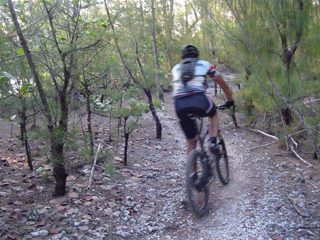 A mountain biker riding along a gravel trail surrounded by dense trees and greenery. The cyclist is seen from behind, wearing a helmet and a cycling jersey, as they navigate through a natural setting. Oleta River State Park mountain bike trail.