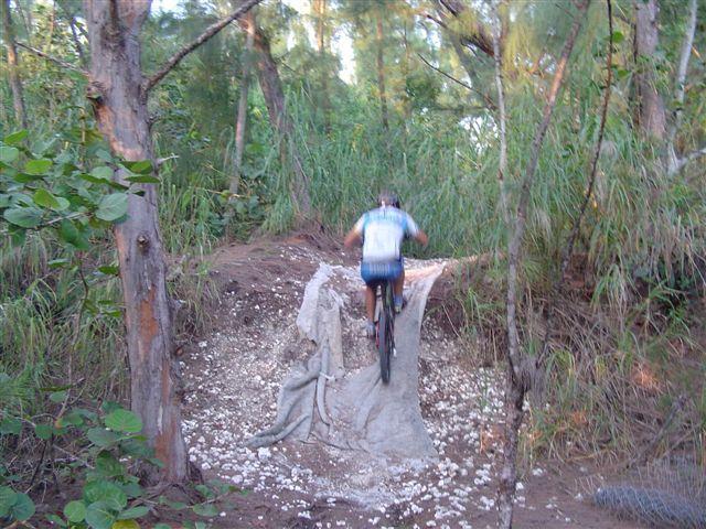 A person riding a mountain bike over a dirt jump in a forested area, surrounded by trees and tall grass. The rider is in motion, navigating a raised section of dirt, while a scattering of small white rocks is visible on the ground. Oleta River State Park mountain bike trail.
