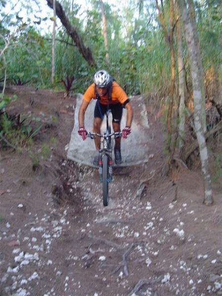 A mountain biker in an orange shirt and black shorts is riding down a sandy, uneven trail surrounded by lush greenery. The rider is leaning forward on the bike, going over a small rocky obstacle. The setting appears to be a natural outdoor environment, ideal for trail biking. Oleta River State Park mountain bike trail.