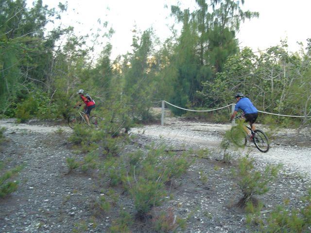 Two cyclists navigating a rough, wooded trail surrounded by shrubbery and trees. The scene is set in a natural environment with a clear sky in the background. One rider is dressed in a red shirt, while the other is in a blue shirt. Oleta River State Park mountain bike trail.