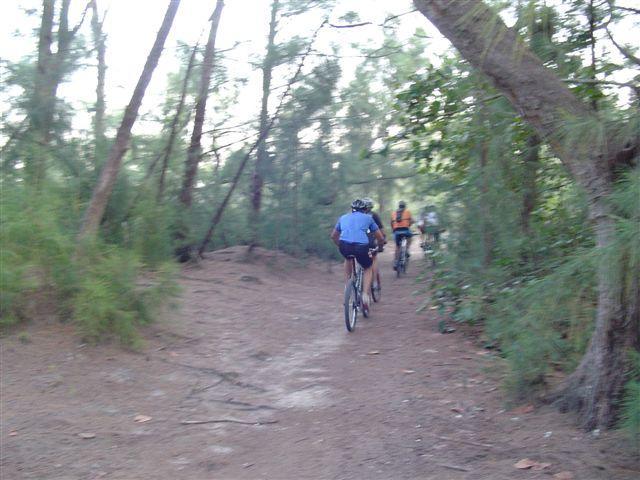 Mountain bikers riding along a dirt trail surrounded by trees in a forested area. The path is narrow and slightly winding, leading deeper into the woods. Oleta River State Park mountain bike trail.