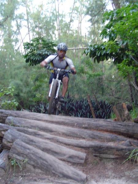 A cyclist in a helmet navigates a rocky trail, jumping over logs in a forested area. Lush greenery surrounds the path, creating a natural backdrop for the mountain biking action. Oleta River State Park mountain bike trail.