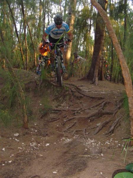A mountain biker navigating through a dense forest trail, jumping over a section of exposed tree roots and dirt. The cyclist is wearing a blue and white jersey and a helmet, with a focused expression as they tackle the rugged terrain. Lush green foliage and trees surround the scene, indicating an outdoor adventure. Oleta River State Park mountain bike trail.