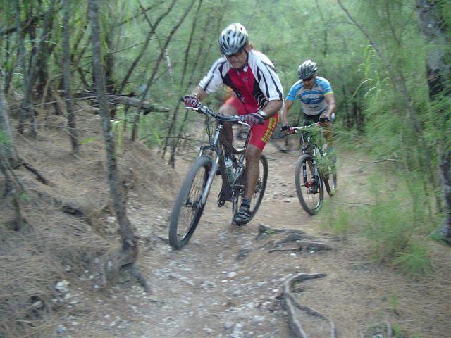 Two mountain bikers navigating a narrow, dirt trail surrounded by dense greenery. One rider is wearing a red and white cycling jersey, while the other is dressed in a blue jersey. They're both focused on the trail, with roots and rocks visible on the ground. Oleta River State Park mountain bike trail.