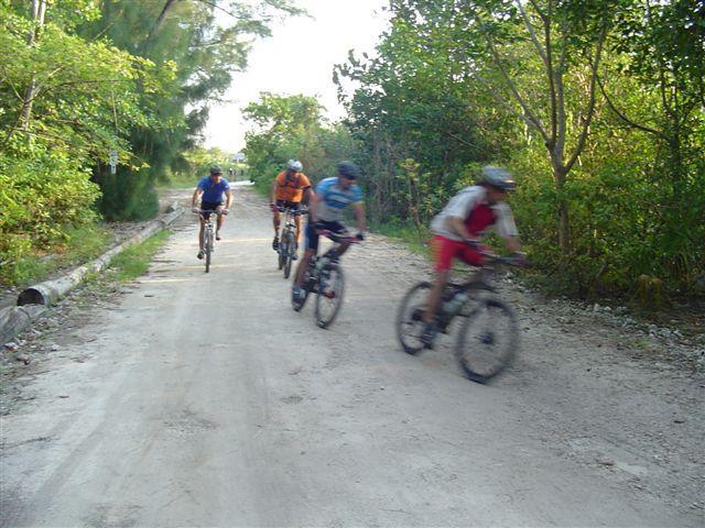 Four cyclists riding mountain bikes on a dirt road surrounded by green trees and foliage. Oleta River State Park mountain bike trail.