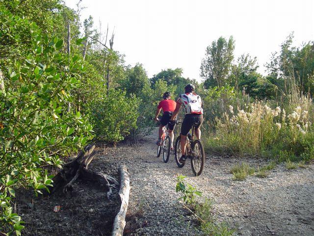 Two mountain bikers riding along a gravel path in a forested area, surrounded by greenery and tall grass. The scene captures a sunny day with trees in the background and a natural, unpaved trail. Oleta River State Park mountain bike trail.
