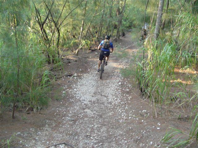 A person riding a mountain bike on a gravel trail surrounded by greenery and trees. The trail winds through a natural setting, showcasing an outdoor cycling experience. Oleta River State Park mountain bike trail.