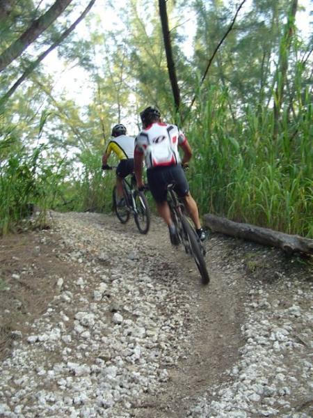 Two mountain bikers riding uphill on a gravel trail surrounded by tall grass and trees. The first biker wears a yellow and black jersey, while the second wears a white and red jersey. Oleta River State Park mountain bike trail.