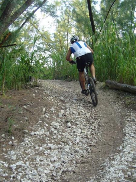 A cyclist riding uphill on a rocky dirt trail, surrounded by tall grasses and trees, with a focus on the bicycle and rider's back as they navigate the rugged terrain. Oleta River State Park mountain bike trail.