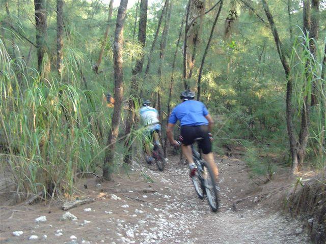 Two mountain bikers riding on a narrow dirt trail surrounded by tall grasses and trees in a wooded area. The scene captures the sense of adventure and the natural environment. Oleta River State Park mountain bike trail.