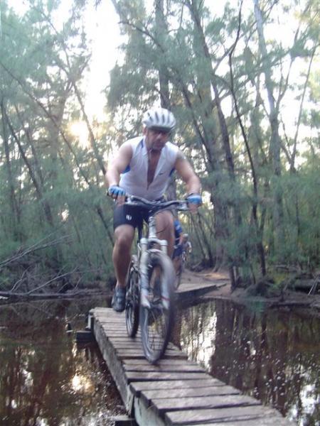A cyclist navigating a narrow wooden bridge over a body of water, surrounded by dense trees in a natural setting. The cyclist is wearing a helmet and cycling gear, demonstrating skills as they ride across the bridge. Oleta River State Park mountain bike trail.