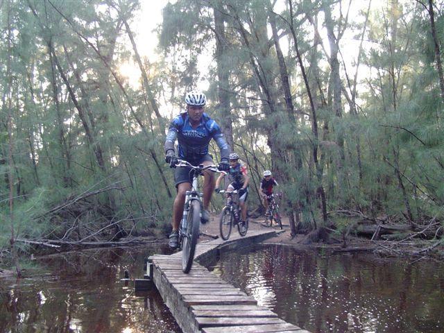 Three cyclists are riding along a narrow wooden bridge that crosses a body of water, surrounded by dense trees and natural greenery. The first cyclist is in motion, wearing a helmet and a blue jersey, while the others trail behind. The scene is set in a serene, wooded area, capturing the essence of mountain biking in nature. Oleta River State Park mountain bike trail.