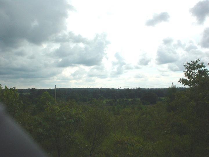 A panoramic view of a green landscape under a cloudy sky, featuring a mix of trees and open fields in the foreground and a distant horizon. The scene conveys a tranquil atmosphere with varying shades of green and grey. San Felasco Hammock Preserve mountain bike trail.