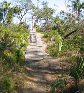 A winding dirt path leads through a lush, green landscape, bordered by various shrubs and tall grasses. A wooden boardwalk ascends towards a clearing, surrounded by trees and natural vegetation under a bright blue sky. Jonathan Dickinson State Park mountain bike trail.