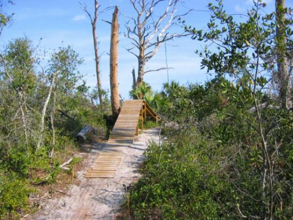 A wooden ramp leads through a natural landscape featuring sparse trees and dense greenery under a clear blue sky. The area shows signs of erosion and includes a few dead trees amidst the thriving vegetation. Jonathan Dickinson State Park mountain bike trail.