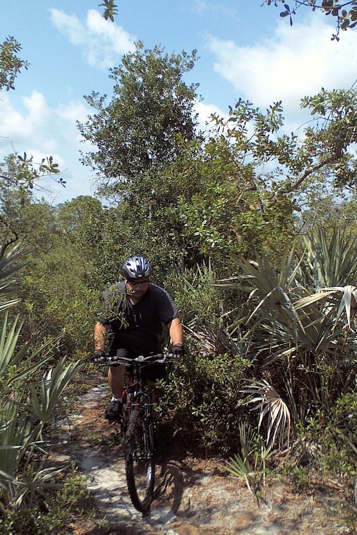 A mountain biker navigating a narrow trail surrounded by lush greenery and palm-like plants under a partly cloudy sky. Jonathan Dickinson State Park mountain bike trail.