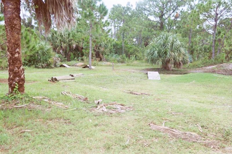 A grassy area surrounded by trees, featuring palm trees and scattered leaves. In the center, there are logs and a small wooden structure. The background consists of dense foliage and more trees under a cloudy sky. Jonathan Dickinson State Park mountain bike trail.