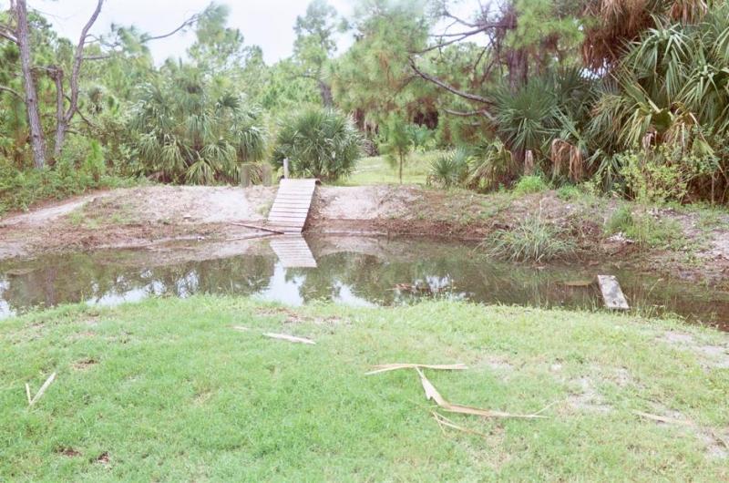 A peaceful natural scene featuring a small pond bordered by grassy areas. A wooden ramp leads from the grassy bank down to the water, surrounded by lush greenery, including palm trees and tall grass. The reflection of the vegetation can be seen in the calm water. Jonathan Dickinson State Park mountain bike trail.