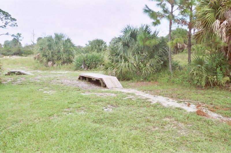 A grassy area with two wooden ramps surrounded by dense vegetation, including palm trees and underbrush. The sky is overcast, creating a muted atmosphere in the natural landscape. Jonathan Dickinson State Park mountain bike trail.