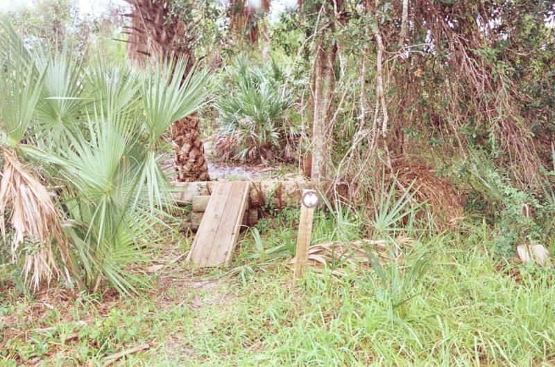 A small, overgrown path in a wooded area surrounded by palm trees and dense foliage. A wooden plank is positioned on the ground, leading into the greenery, alongside a wooden post with a round metal reflector. The scene conveys a natural, untamed environment. Jonathan Dickinson State Park mountain bike trail.