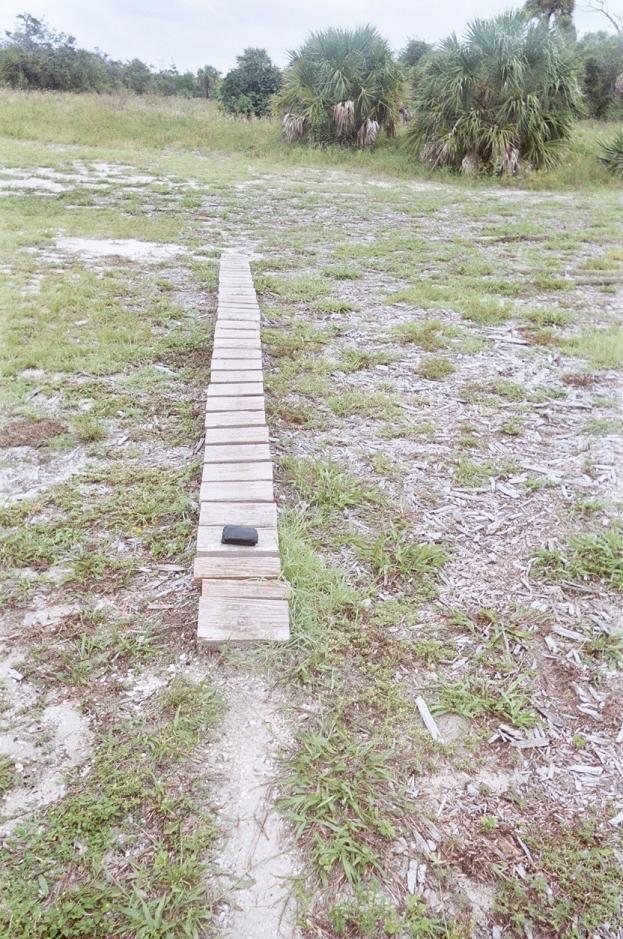 A narrow wooden walkway extends through a grassy field, leading towards the horizon. Sparse vegetation and patches of bare ground surround the path, with a few tall palm-like plants visible in the background. A small black object rests on the walkway. The sky above is overcast, suggesting a muted, cloudy day. Jonathan Dickinson State Park mountain bike trail.