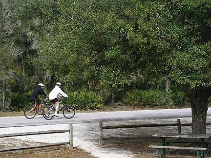 Two cyclists riding on a path surrounded by lush greenery, with a large tree and a wooden picnic table visible in the foreground. Morris Bridge Park mountain bike trail.
