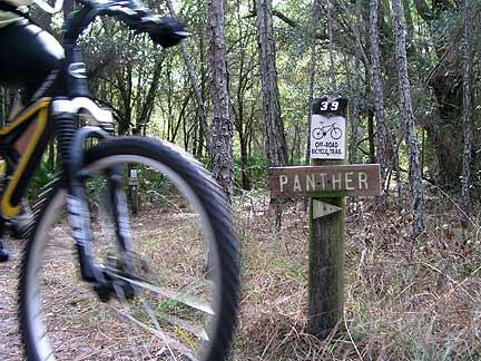 Mountain bike in motion near a wooden sign labeled "Panther," indicating a bike trail, surrounded by trees in a forested area. Morris Bridge Park mountain bike trail.