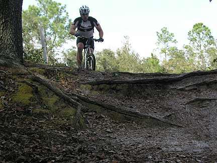 A cyclist navigating a rugged dirt trail surrounded by trees, with visible roots on the path. The cyclist is wearing a helmet and athletic gear, focused on maintaining balance on the uneven terrain. Morris Bridge Park mountain bike trail.