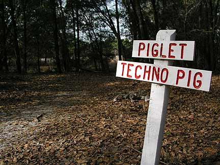 A white wooden sign in a wooded area reading "PIGLET" and "TECHNO PIG" in bold red letters, surrounded by fallen leaves on the ground. Morris Bridge Park mountain bike trail.