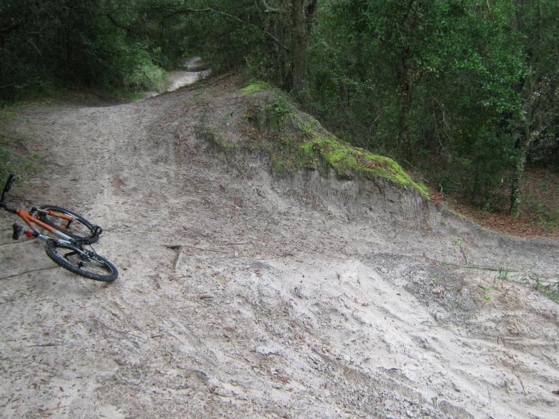 A mountain bike lies on its side beside a sandy trail that winds through dense greenery. The path curves upward, indicating a slope, with sparse vegetation and patches of moss on the edges. Morris Bridge Park mountain bike trail.