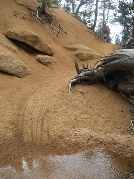 A sandy trail leading up a slope, with exposed rocks and a fallen tree root in the foreground. A small pool of water is visible at the bottom, surrounded by sandy terrain. Sparse trees and vegetation are seen in the background. Jones Downhill mountain bike trail.