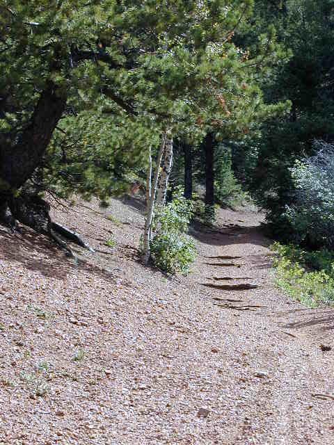 A winding dirt path through a forest, surrounded by tall trees and patches of shrubbery. The path has a rocky surface and is partially shaded by the foliage above, evoking a serene and natural atmosphere. Monument Preserve mountain bike trail.