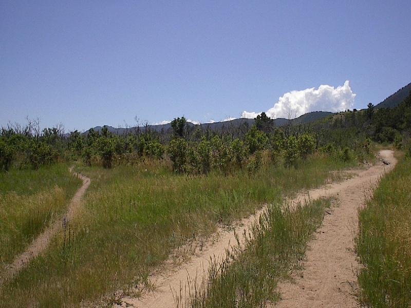 A scenic landscape featuring two diverging dirt paths surrounded by lush green grass and small bushes, with mountains visible in the background under a clear blue sky dotted with white clouds. Monument Preserve mountain bike trail.