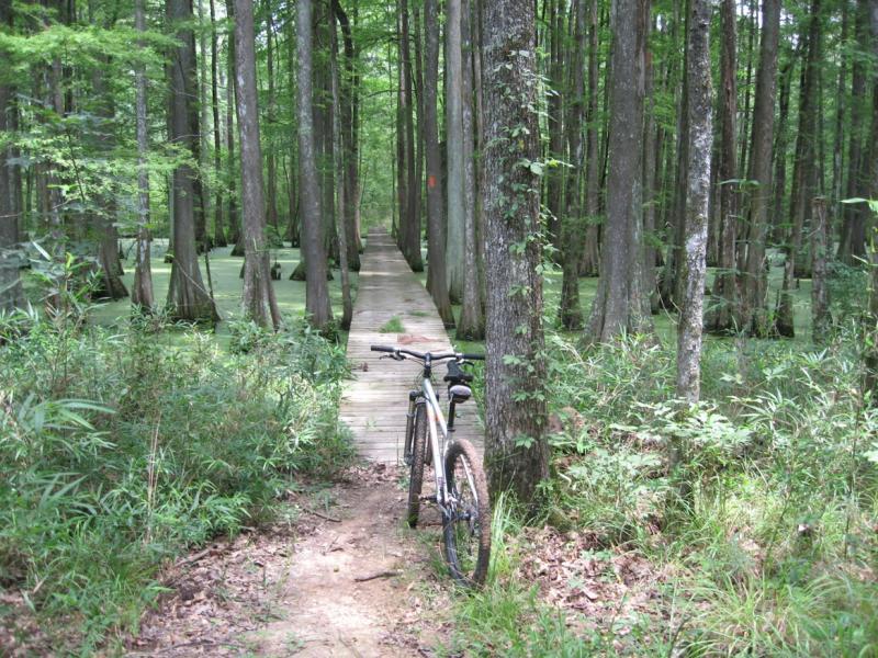 A mountain bike leaning against a tree on a narrow wooden boardwalk that runs through a dense forest. The pathway is surrounded by tall trees and a green marsh-like area, creating a serene, natural environment. Chicot State Park mountain bike trail.
