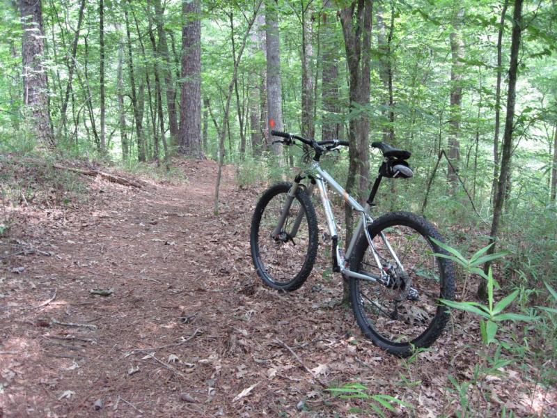 A mountain bike parked on a wooded trail surrounded by trees and underbrush, with dappled sunlight filtering through the leaves. The path is covered with pine needles and leaves, indicating a natural outdoor setting. Chicot State Park mountain bike trail.