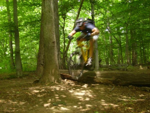 A mountain biker in mid-air jumps over a fallen log in a lush green forest, surrounded by tall trees and sunlight filtering through the leaves, creating an energetic and adventurous atmosphere. Schaeffer Farms mountain bike trail.