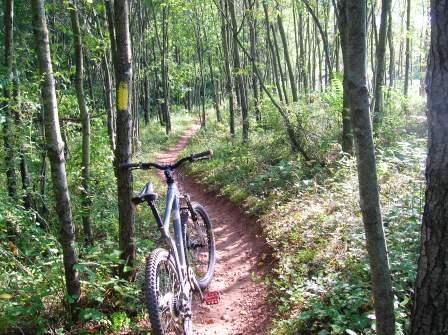 A mountain bike is leaning against a tree along a narrow dirt trail surrounded by dense greenery and tall trees. Sunlight filters through the leaves, illuminating the path ahead. Schaeffer Farms mountain bike trail.