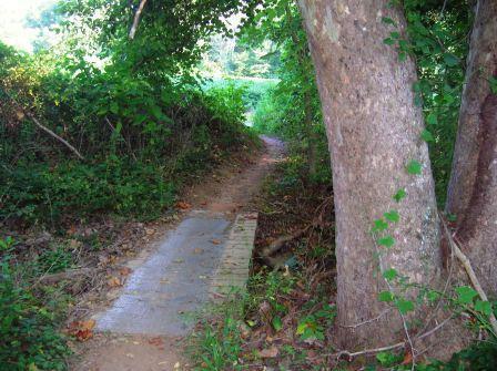 A narrow path surrounded by lush greenery, leading through a wooded area. A small, flat stone bridge crosses a shallow stream, with large trees providing shade on either side. The scene is peaceful and natural, with soft sunlight filtering through the leaves. Schaeffer Farms mountain bike trail.
