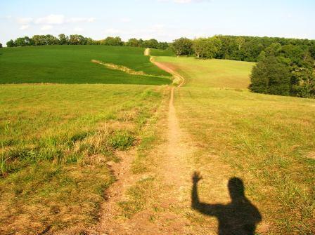 A winding dirt path through green fields under a clear blue sky, with a shadow of a person waving on the left side of the image. Schaeffer Farms mountain bike trail.