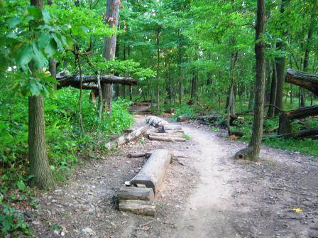 A scenic view of a wooded trail, surrounded by vibrant green trees and foliage. The path is lined with fallen logs, leading deeper into the forest. Sunlight filters through the leaves, creating a peaceful natural atmosphere. Schaeffer Farms mountain bike trail.