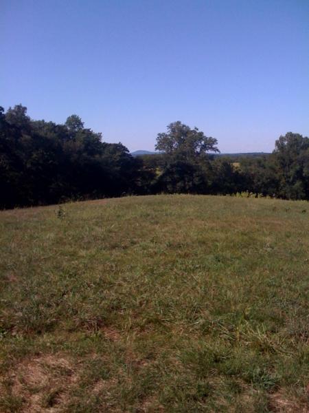A scenic view of a grassy hilltop surrounded by trees, with a clear blue sky and distant hills visible in the background. Schaeffer Farms mountain bike trail.