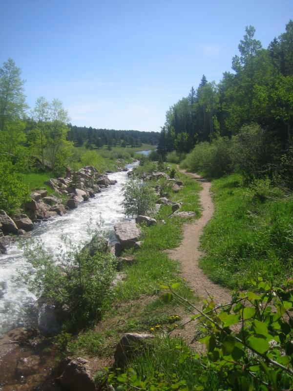 A scenic view of a clear, flowing river surrounded by lush greenery and trees. A dirt path runs alongside the river, with rocky edges and vibrant grass on either side. The sky is bright blue, indicating a sunny day, and the overall atmosphere conveys a peaceful and natural landscape. Rampart Reservoir mountain bike trail.
