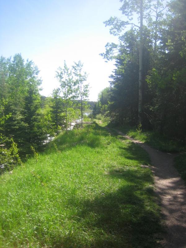 A sunny pathway winding through lush greenery, flanked by trees. On one side, the path is bordered by tall grasses, while the other side reveals a glimpse of a waterway in the distance. The scene conveys a sense of tranquility and natural beauty. Rampart Reservoir mountain bike trail.