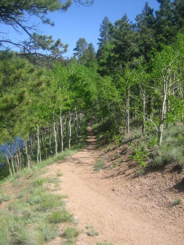 A winding dirt path surrounded by green trees, leading away from a body of water on the left side. The scene is bathed in bright sunlight under a clear blue sky, with lush vegetation lining the trail. Rampart Reservoir mountain bike trail.