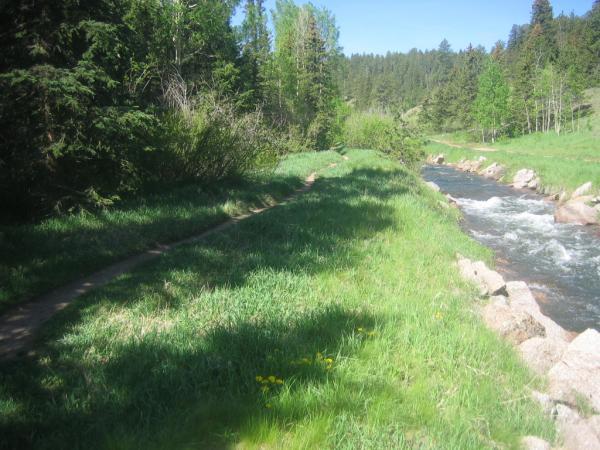 A serene natural scene featuring a winding path alongside a flowing river, surrounded by lush greenery and trees. Sunlight filters through the foliage, highlighting the vibrant grass and wildflowers along the riverbank. Rampart Reservoir mountain bike trail.