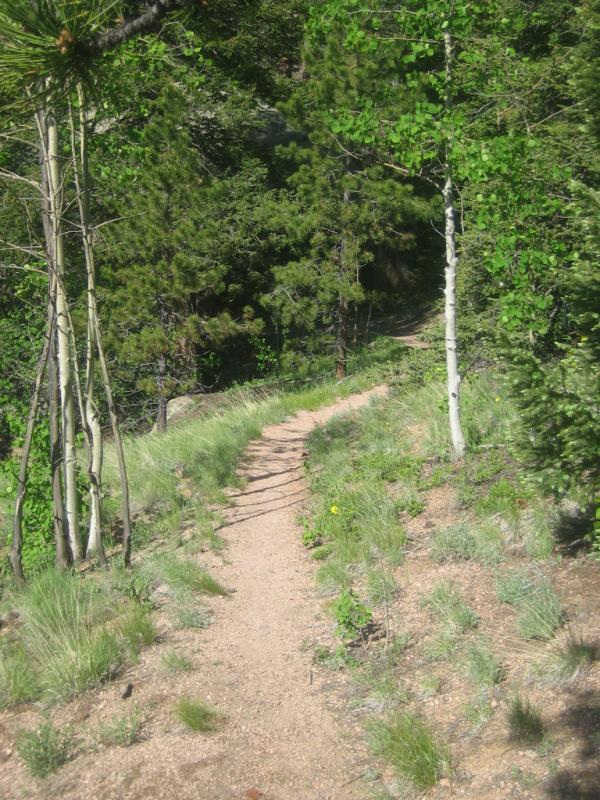 A winding dirt path through a lush forest, bordered by tall trees and green grass, leading into dense foliage. The trail is illuminated by sunlight filtering through the leaves, creating a serene and inviting atmosphere. Rampart Reservoir mountain bike trail.