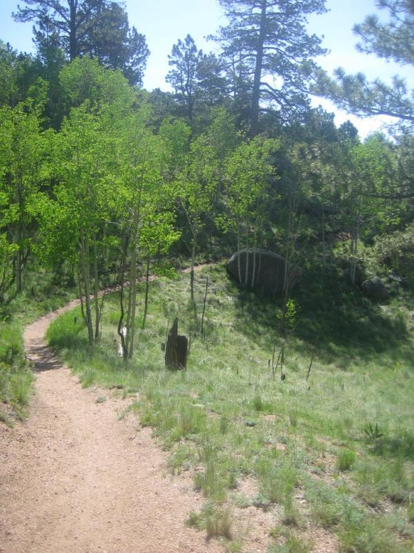 A winding dirt path curves through a lush green landscape filled with trees and scattered rocks. Sunlight filters through the leaves, creating a bright and inviting atmosphere in a natural setting. Rampart Reservoir mountain bike trail.