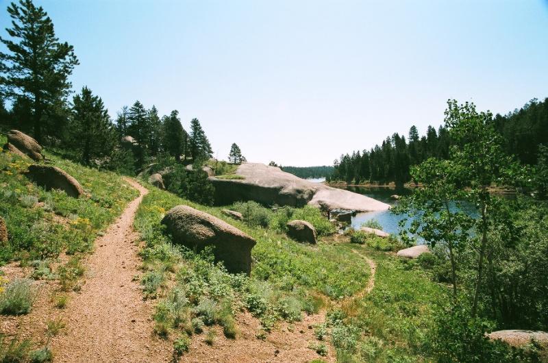 A scenic outdoor landscape featuring a winding dirt trail surrounded by greenery, large boulders, and a calm body of water in the distance. Tall pine trees line the edges of the scene under a clear blue sky. Rampart Reservoir mountain bike trail.