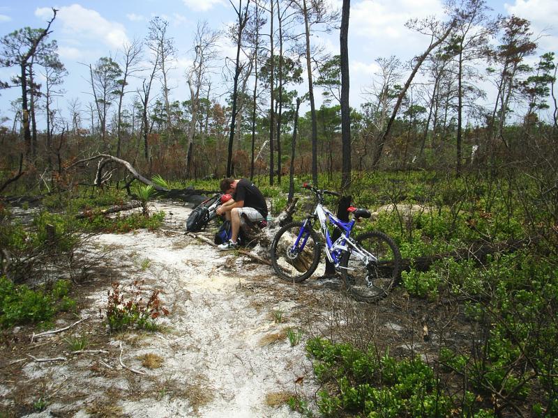 A person sitting on the ground in a forested area, surrounded by sparse vegetation and burnt trees, taking a break from biking. Two bicycles are parked nearby, and the ground is sandy with patches of greenery. The sky is partly cloudy, creating a calm outdoor atmosphere. Jonathan Dickinson State Park mountain bike trail.